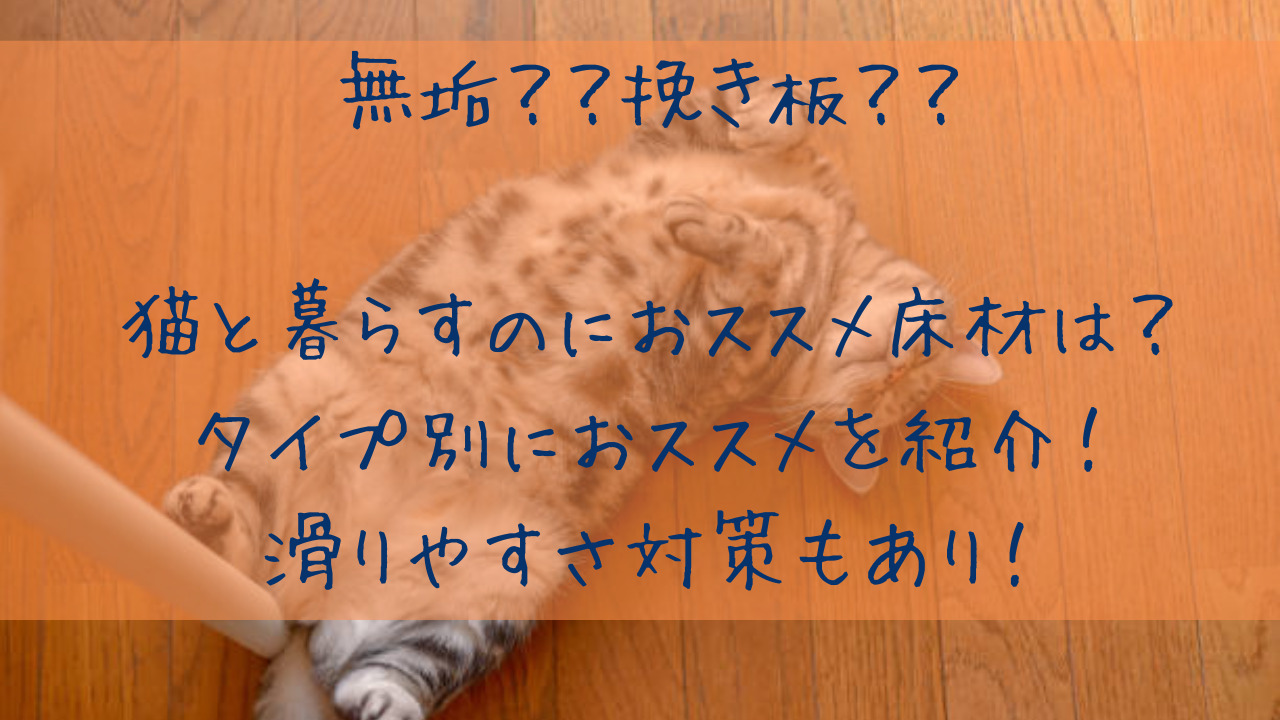 猫におすすめの床材アイキャッチ画像