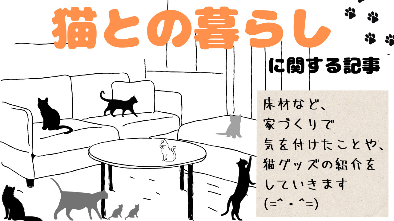 ピックアップ記事_猫との暮らし