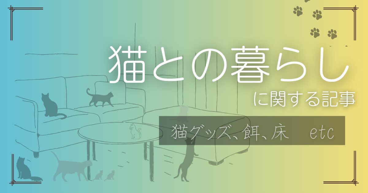猫との暮らし