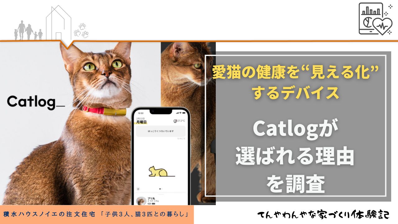 愛猫の健康を“見える化”する首輪型デバイス｜記録すべき4指標とCatlog 