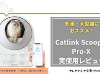 Catlink Scooper Pro-X 実使用レビュー