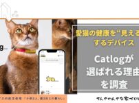 アイキャッチ_Catlog
