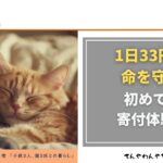 アイキャッチ_ピースニャンコ