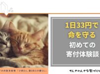 アイキャッチ_ピースニャンコ