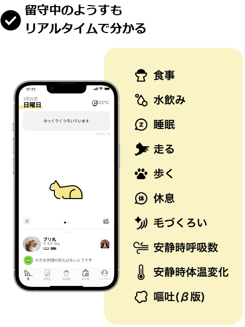 Catlog画像